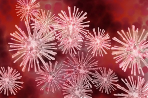 Read more about the article Varus Virus Pirus